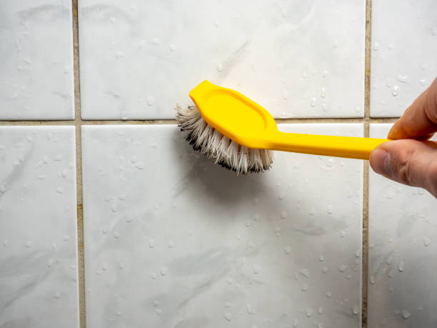 Best Emergency Mold Removal  in Pasadena, CA