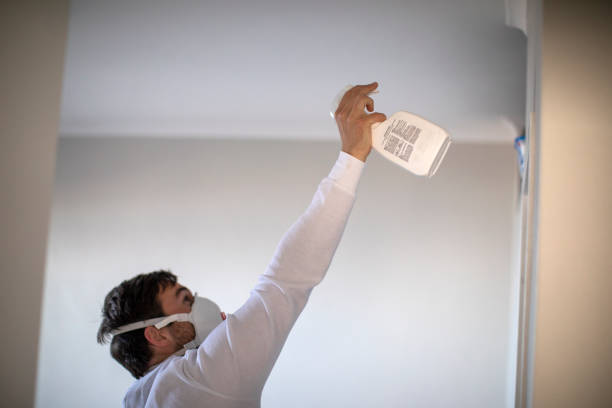 Best Black Mold Removal  in Pasadena, CA