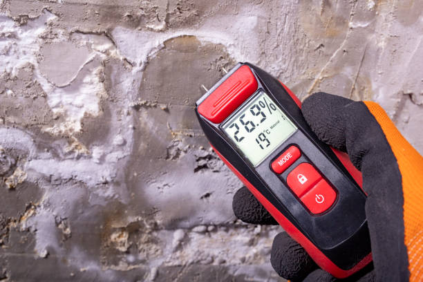Best Commercial Mold Removal  in Pasadena, CA